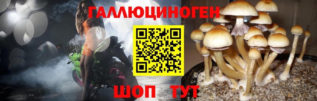 Калуга  Псилоцибиновые грибы Magic Shrooms  Галлюциногенные грибы мицелий  Вход с VPN 
